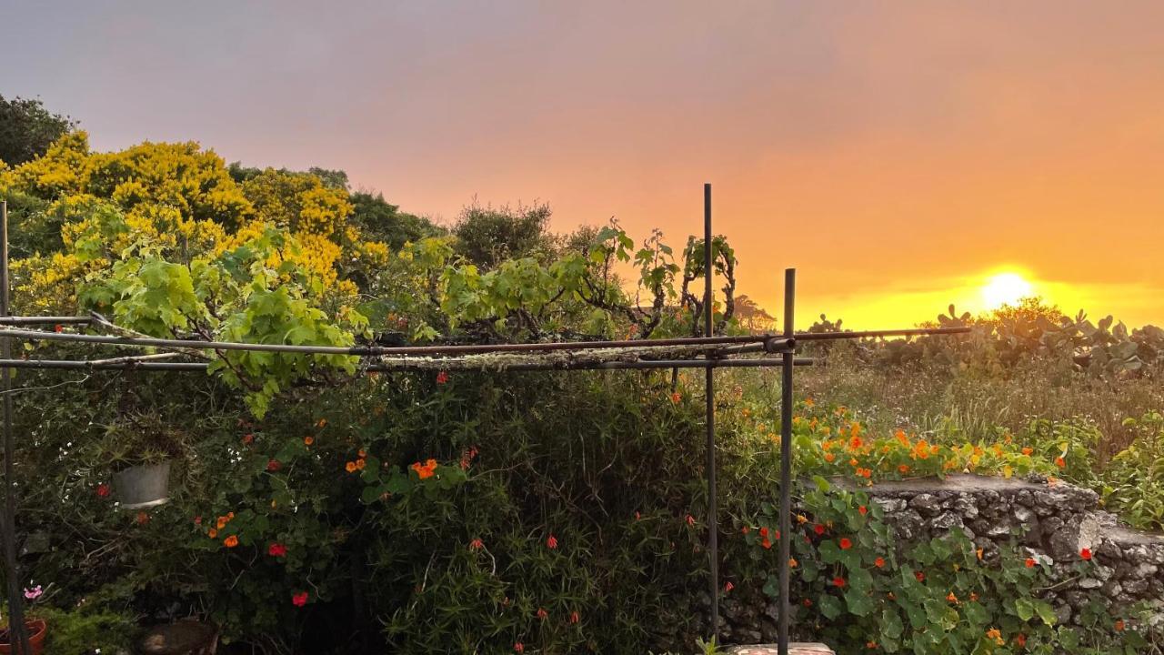 Casa Rural Casa & Monte Erese Dış mekan fotoğraf